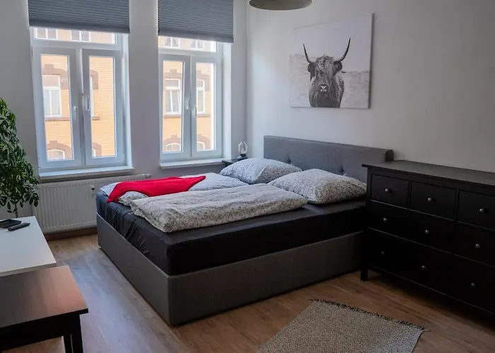 City-studio إرفورت